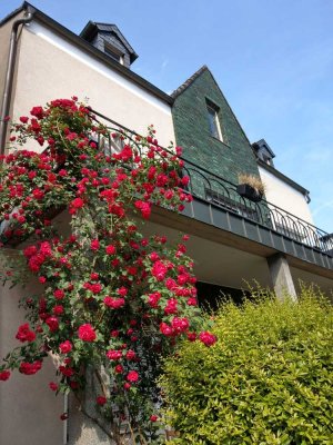 Singlewohnung mit Terrasse Sonnenseite im EG