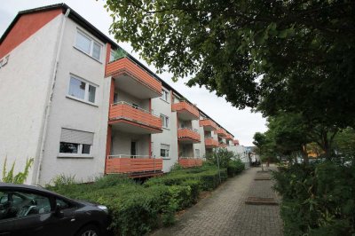 Frisch sanierte 4 Zimmer Wohnung in Bischofsheim