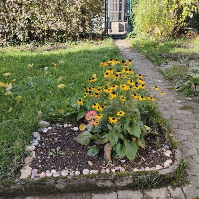 Schöne 4-Raum-Hochparterre-Wohnung in Waldshut-Tiengen