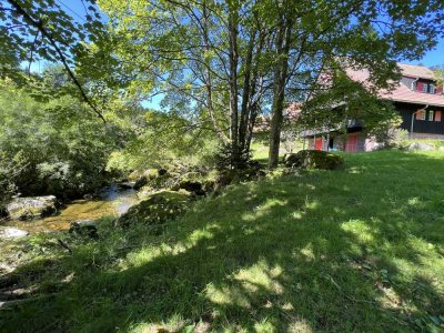 HOCHSCHWARZWALD - Kernsanierte und somit NEUWERTIGE Ferienwohnung in der Jagdhausresidenz Hundsbach