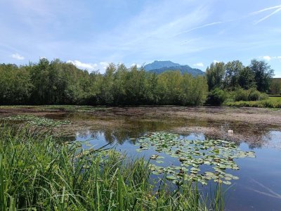 Juwel Krottensee - Ruhe Oase ein Steinwurf von Ihrem neuen ZUHAUSE