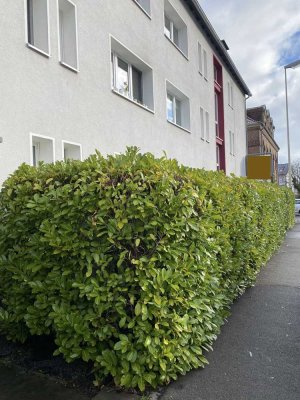 Helle 2-Zimmerwohnung mit schöner Wohnküche in Bonn-Friesdorf