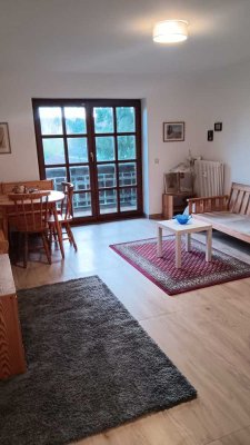 Erstbezug nach Renovierung! Großzügige 1-Zimmer-Wohnung mit Balkon