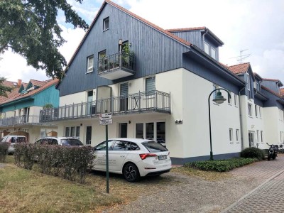 Renovierte-Preiswerte 1-Raumwohnung mit Balkon,Öffentliche Besichtigung ist am 8.1 um 11.00 Uhr