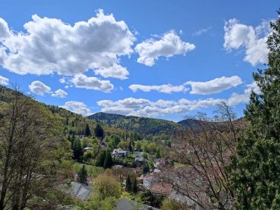 Schöne helle 2,5 Zi Wohnung: 6. OG, Aufzug, Fernblick, Schwimmbad