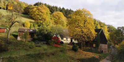 Einzigartiges Juwel für Tier- und Naturliebhaber