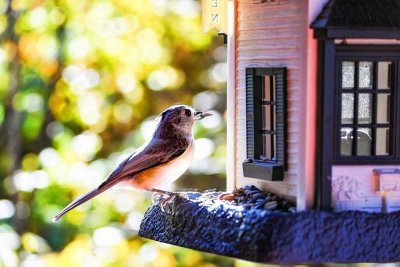 Nachhaltig bauen, bewusst leben - Ihr energieeffizientes Traumhaus