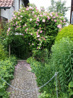 1-Zi. Wohnung in Erbach, Nähe Ulm-Donautal, NUR für Wochenende-Heimfahrer