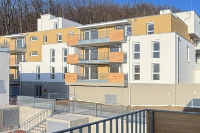 ERSTBEZUG: hochwertige Dachterrassenwohnung