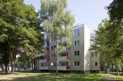 Frisch sanierte 2 Zimmer-Wohnung