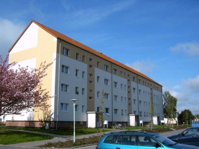 1 Raum Wohnung in Tribsees