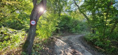 ***Einmalige Gelegenheit in Bad Vilbel***