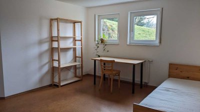 30m2 große Einliegerwohnung mit separatem Eingang an Student/in