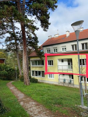 PRIVAT-provisionsfreie, helle, ruhige 55m2 Wohnung mit Balkon in Mödling