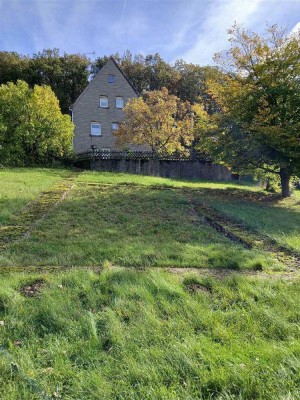 freistehendes Einfamilienhaus in Reichenbach-Steegen