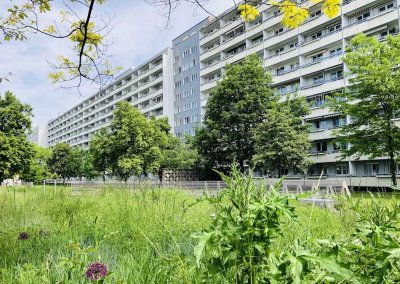 Erstbezug nach Renovierung - Wohnung mit großen Balkon !  "Bezugsfertig ab Dezember"