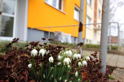 Zweckmäßige 3-Zimmer-Wohnung mit Einbauküche