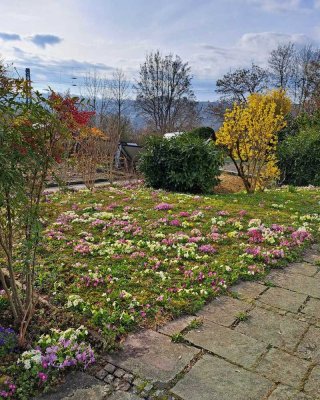 IM DACHSWALD SCHÖN WOHNEN :: HAUS MIT EINLIEGERWOHNUNG, GARTEN UND GROSSEM GRUNDSTÜCK