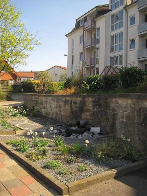 Freundliches 1-Zimmer Apartment in Himmelsthür