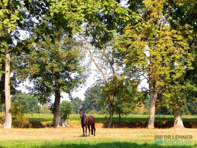 Dr. Lehner Immobilien NB -
Komfortabel Wohnen im Naturparadies auf 4,5 ha