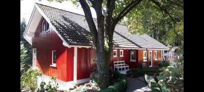 Exklusives Traumhaus mit großem Garten, Pool in idyllischer und uneinsehbarer Lage von Hachenburg