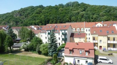 Ruhig gelegene Zweiraumwohnung mit Blick in die Natur