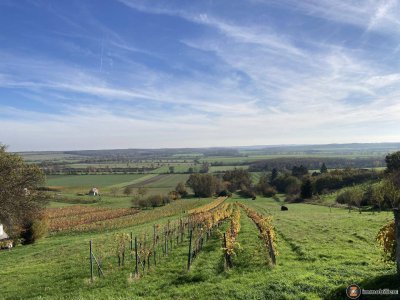 Rechnitzer Weinberge: Landhaus in herrlicher Aussichtslage!