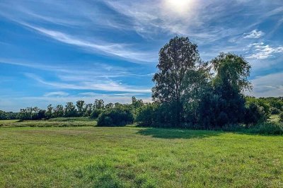 komfortables freistehendes Wohnhaus in ruhiger Lage in Kleinottweiler/Saar