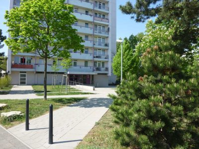 gemütliche 2-Zimmer-Wohnung in Ludwigshafen