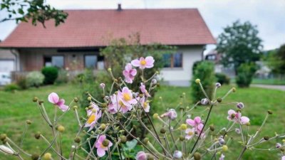 Vielseitiges Gewerbegrundstück mit Wohnhaus...