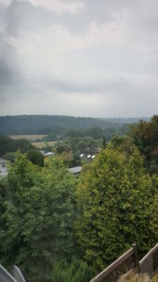 Schöne Dachgeschosswohnung mit Sonnenterrasse am Naturschutzgebiet