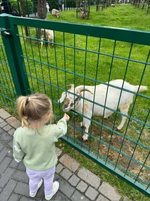 Kinderglück in Ihrem Traumhaus! Jetzt mit Festpreisgarantie!