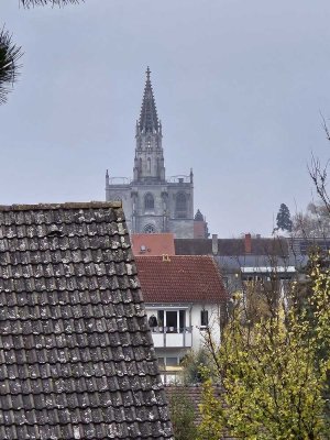 Möblierte 1-Zimmer Wohnung mit Balkon und Autoabstelllatz in 78462 Konstanz-Paradies