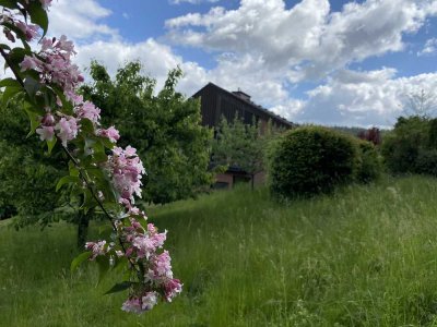 ARCHITEKTENHAUS IN TRAUMLAGE: EBK, Kamin, Balkon, Terrasse, Sauna, Garten, Teich, Carport, Glasfaser