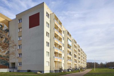 2 Zimmer Wohnung zu vermieten