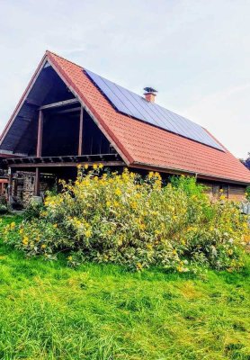 Einfamilienhaus mit großem eingewachsenem Grundstück für Naturliebhaber