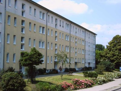 2 Raum-Wohnung