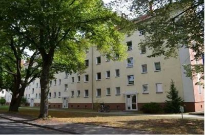 3-Raum-Wohnung, zentral und ruhig gelegen, Hochparterre - Komplettsanierung