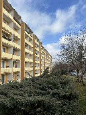 modernisiertes Appartement – 2,0 Zi Küche mit EBK/Duschbad und Süd-Balkon sowie Stellplatz