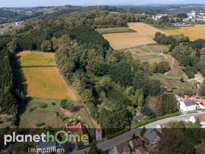 Direkte Thermennähe in Stegersbach – Traumobjekt mit Altbestand, Fischteich und Wald