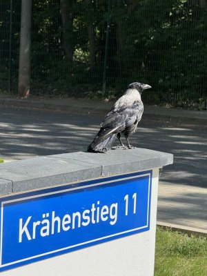 Schicke frisch sanierte 3 Raumwohnung am Neustädter See.