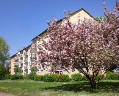 Schöne 2-Zimmerwohnung mit Balkon in Eckenheim