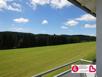 Helle 3-Zimmer Wohnung mit sonniger Loggia und herrlichem Ausblick in Traberg