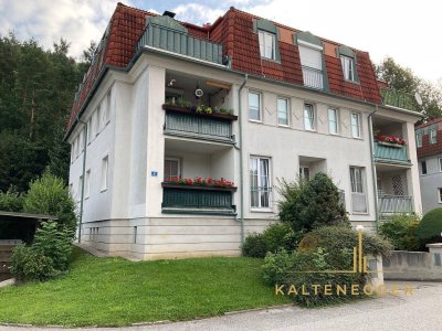 Familiäre Mietwohnung mit Gartenbenützung