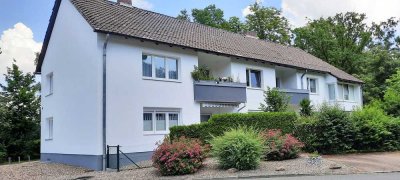 Stilvolle, modernisierte 2-Zimmer-Wohnung mit gehobener Innenausstattung mit EBK in Wolfsburg