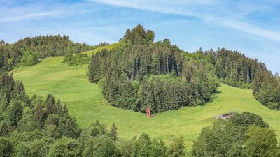 Ski In - Ski Out an der Hahnenkammbahn mit Streif-Blick