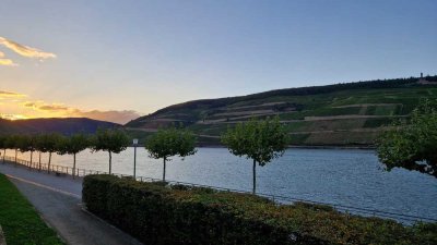 Gemütliche EG Wohnung mit Panoramablick auf den Rhein