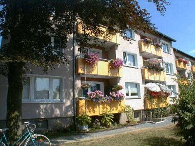 3 Zimmer Wohnung in Bad Münder