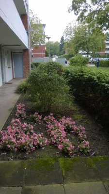 Top 1 Zi. Wohnung in absolut ruhiger Lage - sonniger Terrasse