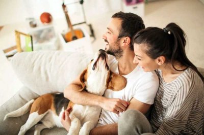 Mehrere Familien unter einem Dach